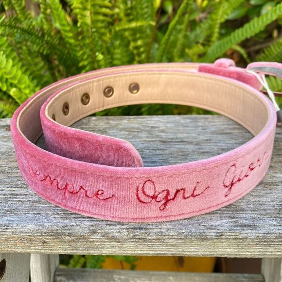 Giada Benincasa Pink Velvet Belt. Size Small.  NWT. main image 6